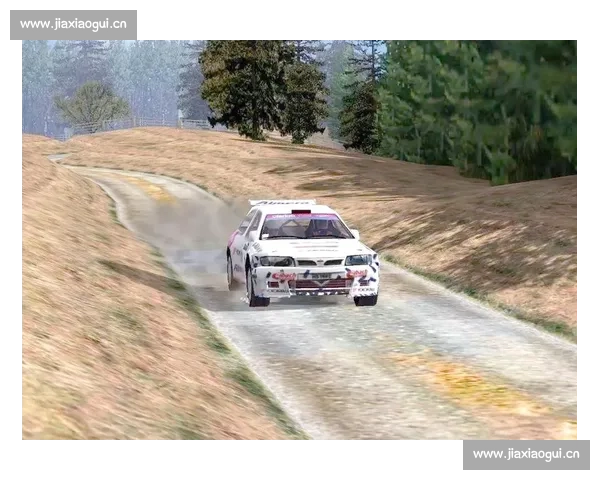 激情与速度的碰撞探索拉力赛车赛道背后的极限挑战与技术创新