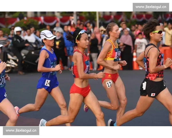 马拉松比赛级别划分与赛事难度对比分析助力跑者科学备战